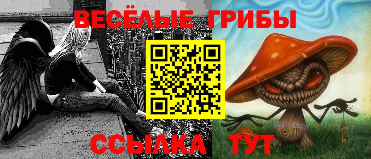 Псилоцибиновые грибы Magic Shrooms  Псилоцибиновые грибы мухоморы  Вход с VPN  Майкоп 